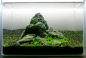Preview: Layout 05 von Tropica