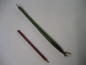 Preview: Samen der Roten Mangrove  / Rhizophora mangle