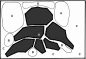 Preview: Layout 05 von Tropica