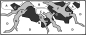 Preview: Layout 07 von Tropica