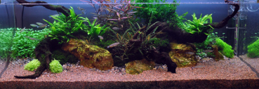 Layout 07 von Tropica