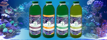 Phyto - Phos
