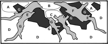 Layout 07 von Tropica