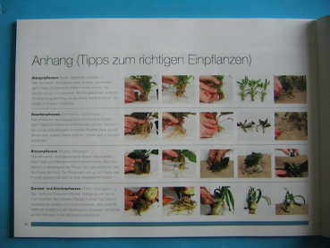 Tropica "Erfolg mit Ihrem Aquarium" 2012