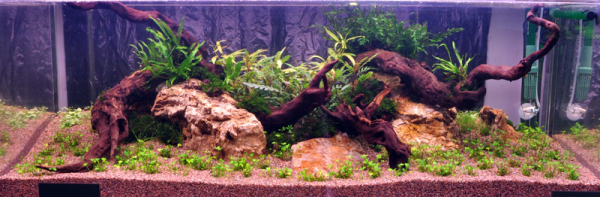 Layout 07 von Tropica