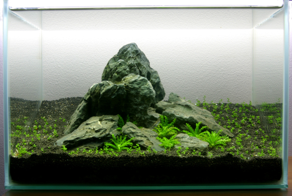 Layout 05 von Tropica