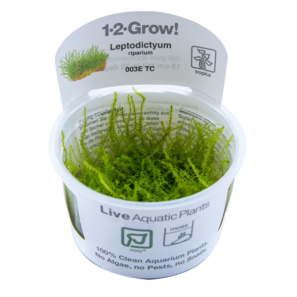 1-2-GROW Leptodictyum riparium