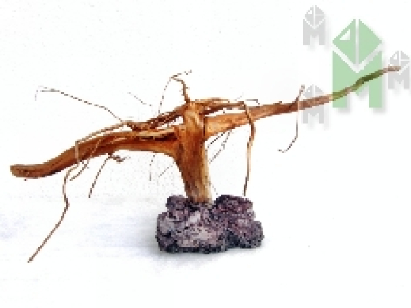 Garnelenbäumchen auf echtem Lavastein nass